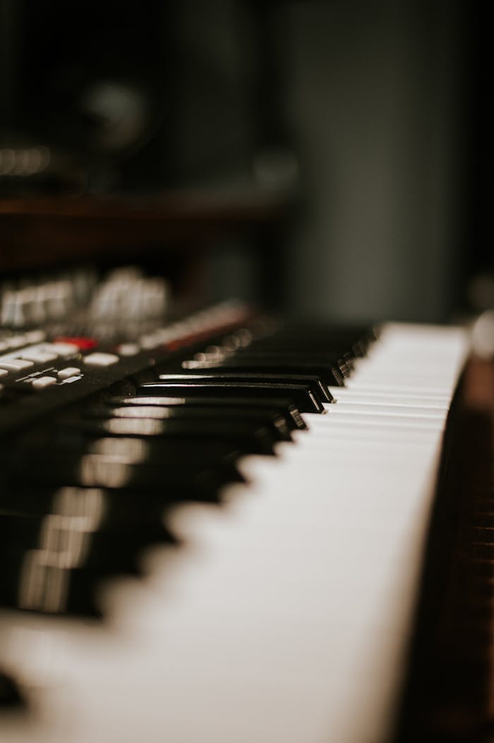 Artistic close-up of piano keys showcasing depth of field and musical elegance.